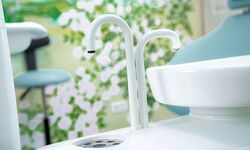 Bewässerung vom Behandlungsstuhl im Hintergrund Rosen auf Wand gemalt - Rosenzimmer